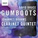 Sonic Rendezvous Signum Classics Gumboots / Clarinet Quintet