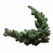 LOBERON Guirlande Melis groen
