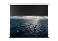 celexon DARKVISION ALR Premium Plus elektrisch projectiescherm met Tab-Tension 243 x 136 cm - 110"