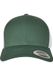 Flexfit Baseballpet, persistent groen/wit, één maat