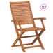 VidaXL Tuinstoel Terras Acaciahout 2 stuks met armleuning