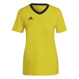 adidas Performance Entrada 22 Voetbalshirt - Dames - Geel - XS