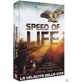 Vitesse de vie
