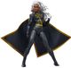 Hasbro Marvel Legends Storm Action Figure