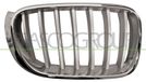 PRASCO C6D717 BM8062013 frontgrillspoiler