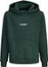 JACK&JONES Jongens Hoodie JJESOHO SWEAT HOOD NOOS JNR Scarab