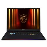 MSI Raider / A2XWIG-252ES