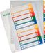 Leitz PC printbare Project Indexen 10 tabs 10 stuks