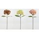 Driesprong collection Single hydrangea 68 cm red