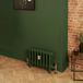 Farrow & Ball Radiateur en fonte - H 36 cm x L 26,3 cm x P 14 cm - 4 rangs de colonnes - Duck Green W55 de Farrow & Ball - Mercury