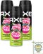 Axe Vaporisateur Epic Fresh 150 ml - 3 Stuks