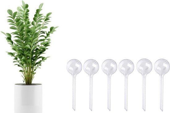 FEDEC Waterdruppelaar Set - kamerplanten - Transparant - 6 Stuks
