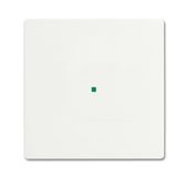 Busch-Jaeger 2CKA006220A0481 bevestiging & afdekking voor melders Wit