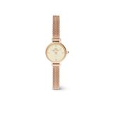 Daniel Wellington DW00100741 Polshorloge Dames Roze Staal Kwarts 19mm