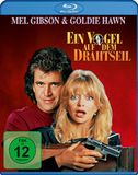 PLAION Ein Vogel auf dem Drahtseil (Blu-ray) Duits, Engels