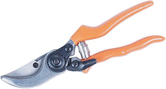 Werkzeyt Snoeischaar Klassiek – 250mm – Aluminium