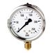 RIEGLER 102137-731-C glycerinmanometer, CrNi-staal, G 1/2 onder, 0-60,0 bar, Ø 100, 1 st.
