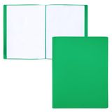 RAYLU PAPER - A4-map met transparante hoezen van 100% biologisch afbreekbaar polypropyleen, 20 transparante documenthoezen voor thuis en op kantoor (A4, 20 hoesjes, groen)