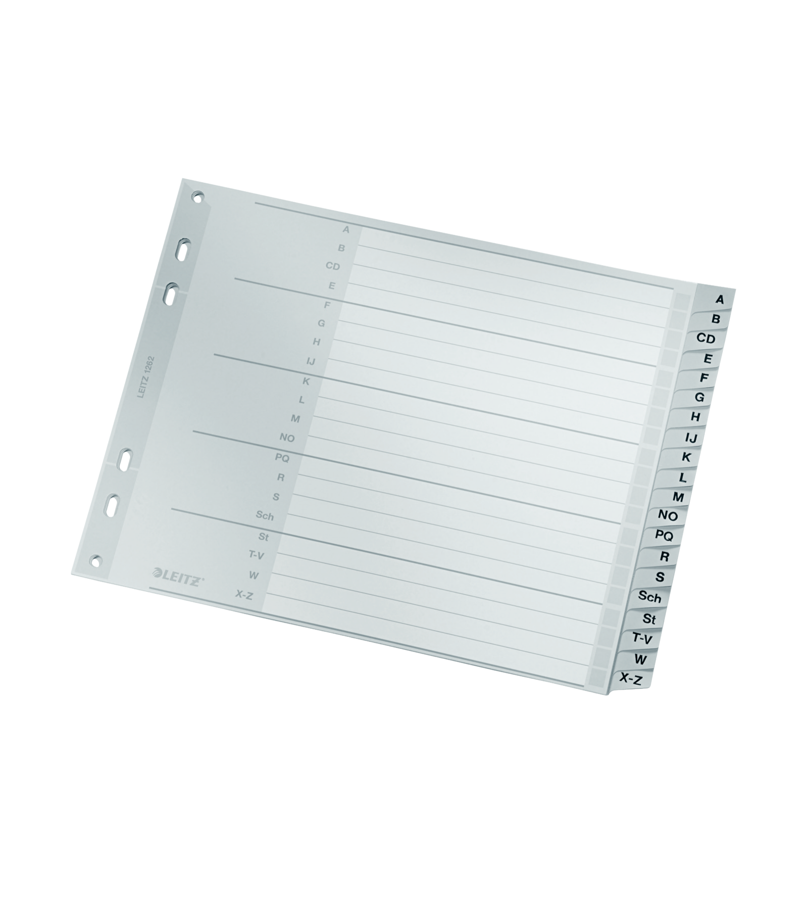 Leitz 12620000 Indextabs grijs Karton 23,8 cm x 3 mm