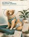My Dog's TPLO Recovery Journal