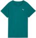 Puma T-shirt W Run Velocity Tee (Poly) - Groen - Polyester - Dames - Maat L