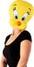 Rubies Space Jam 2: A New Legacy – Masque Tweety Pie