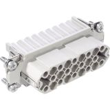 LAPP 11282300 Insert femelle EPIC® H-D 25 Nombre total de pôles 25 + PE 5 pc(s)