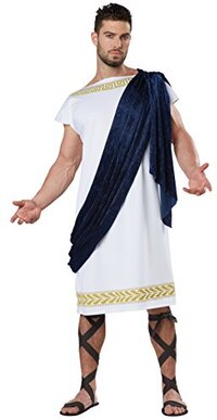California Costumes Grecian Toga Costume - White/Navy - Large
