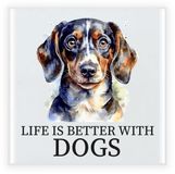 Bellatio Decorations Cadeau tegel hondenliefhebber - Teckel hond - keramiek - water kleuren - 15 x 15 cm