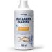 Energybody Systems Marine Kollagenhydrolysat aus Fisch mit Vitamin C und Biotin Flüssigkeit, mit Dosierbecher