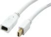Synergy 21 S216366 3 m Mini DisplayPort naar Mini DisplayPort Kabel Wit
