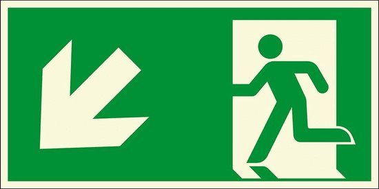 Lichtgevend nooduitgang bord pijl linksonder - kunststof - E001 300 x 150 mm