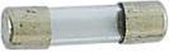 Glaszekering 5 x 20mm - 1.25A (10 stuks)