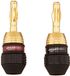 Amazon Basics Bananenstekkers, staaf, 6 paar (12 stuks), luidspreker, goud