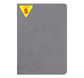 Clairefontaine 733165Cpack Collection Age Bag Notitieboek, A5, 14,8 x 21 cm, 96 pagina's, gelinieerd, wit papier, 90 g, glanzend, ledernerf, 5 stuks