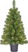 Black Box Trees Nagoya Kunstkerstboom met warmwitte ledverlichting, 120 x Ø 79 cm, groen Frosted