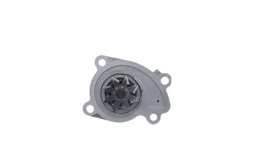 Valeo Waterpomp, Motorkoeling 529202