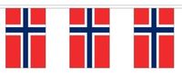 Merkloos / Sans marque Noorwegen vlaggetjes vlaggenlijn - 2x - 300 cm - polyester stof - binnen en buiten - landen versiering