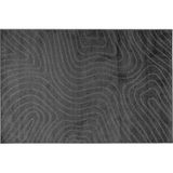 Palmeras Tapis De Surface Anthracite 340 X 240 cm Polyester