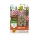 Pokon 12x Cône d'engrais pour plantes de terrasse et de balcon 10 pièces