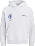JACK&JONES JJTRADITION SWEAT HOOD JNR Jongens Sweater Katoen/Polyester/Viscose Wit Melange Maat 176