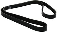 Dayco 6PK1655 V-riem Poli V
