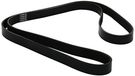 Dayco 6PK1655 V-riem Poli V