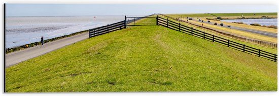 Merkloos / Sans marque Dibond - Dijk met Koeien langs de Noordzee in Nederland - 60x20 cm Foto op Aluminium (Wanddecoratie van metaal)
