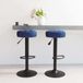 Maison Exclusive - Tabouret de bar, lot de 2, velours bleu