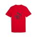 PUMA Functioneel shirt 'AC Milan King' rood / zwart