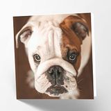 Maturi Lege wenskaart met Britse Bulldog-afbeelding