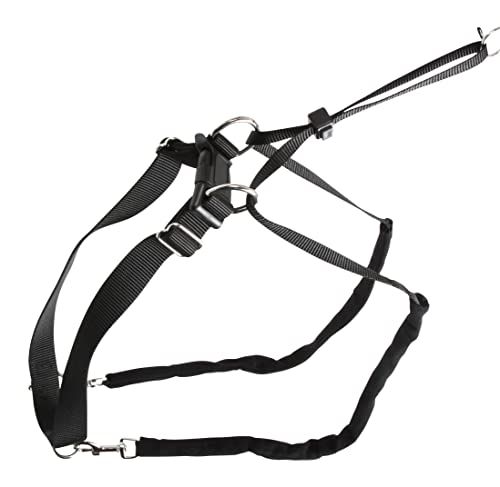 Kerbl Maxi Leader Trainingsset, Small, Zwart