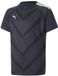 PUMA TeamLIGA Graphic Jersey Sportshirt Unisex - Maat 116