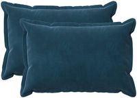 vidaXL Housse de coussin 2 pcs Bois Bleu 40 x 60 cm Velours